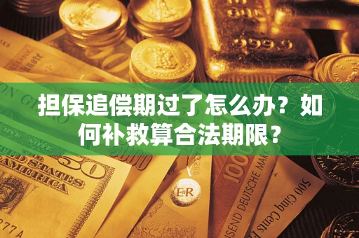 济南担保追偿期过了怎么办？如何补救算合法期限？