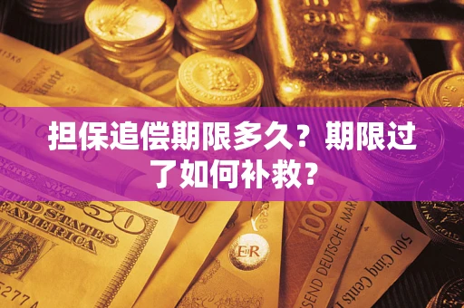 济南担保追偿期限多久？期限过了如何补救？